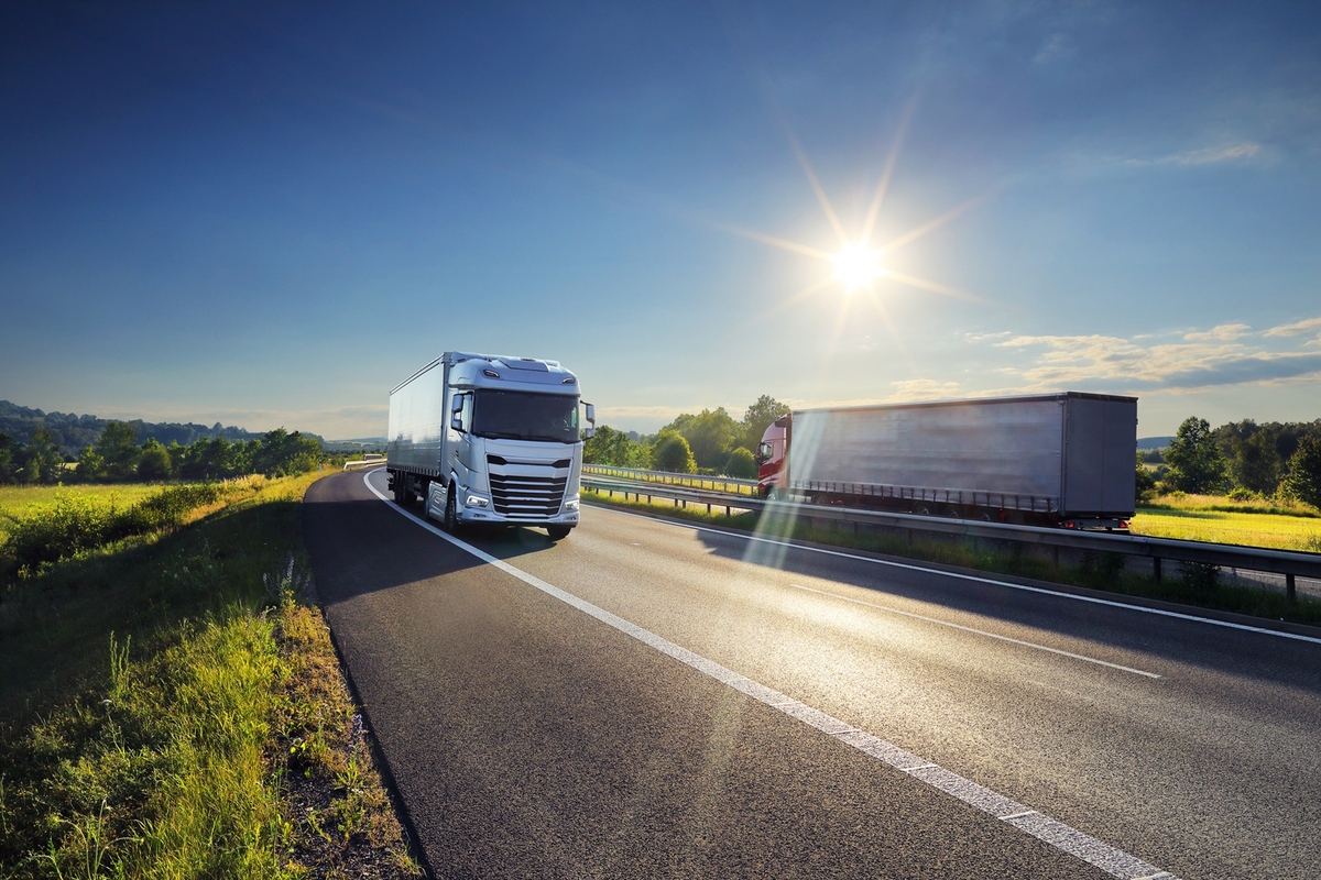 Dino - Divulgador de Noticias