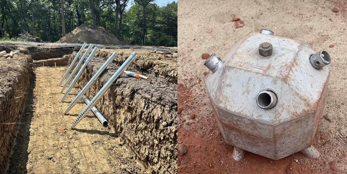 Dino - Divulgador de Noticias