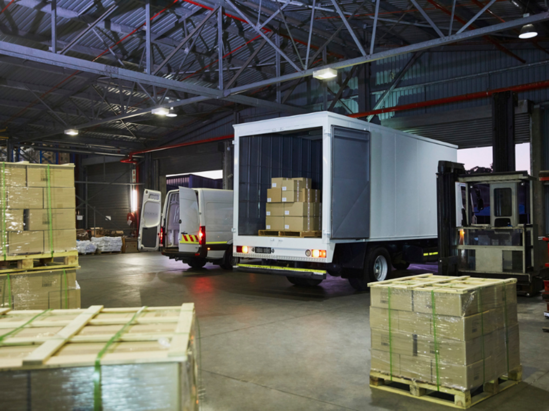 Dino - Divulgador de Noticias