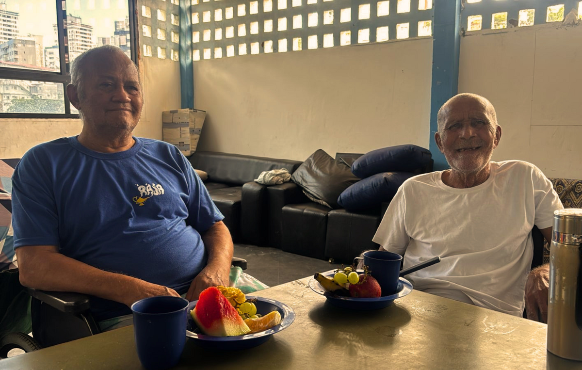 Dino - Divulgador de Noticias