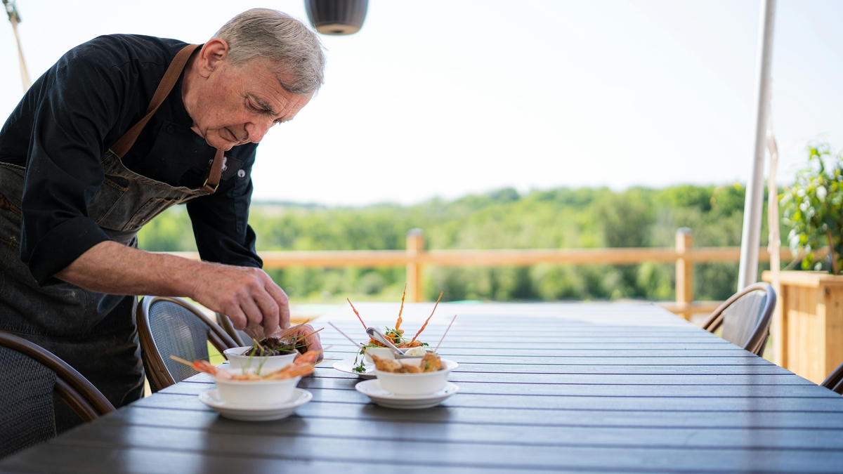 Dino - Divulgador de Noticias