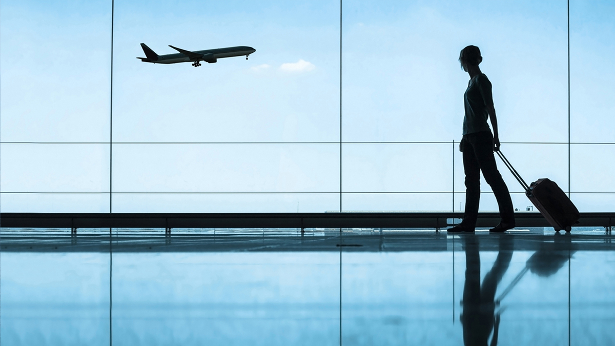 Dino - Divulgador de Noticias