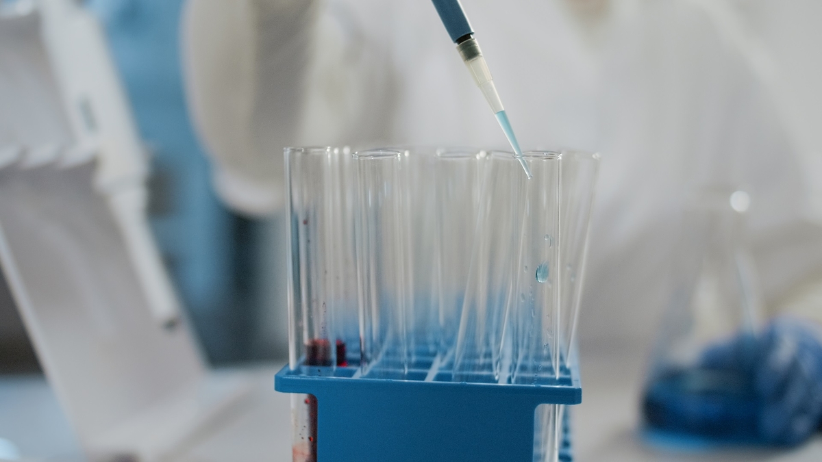 Dino - Divulgador de Noticias