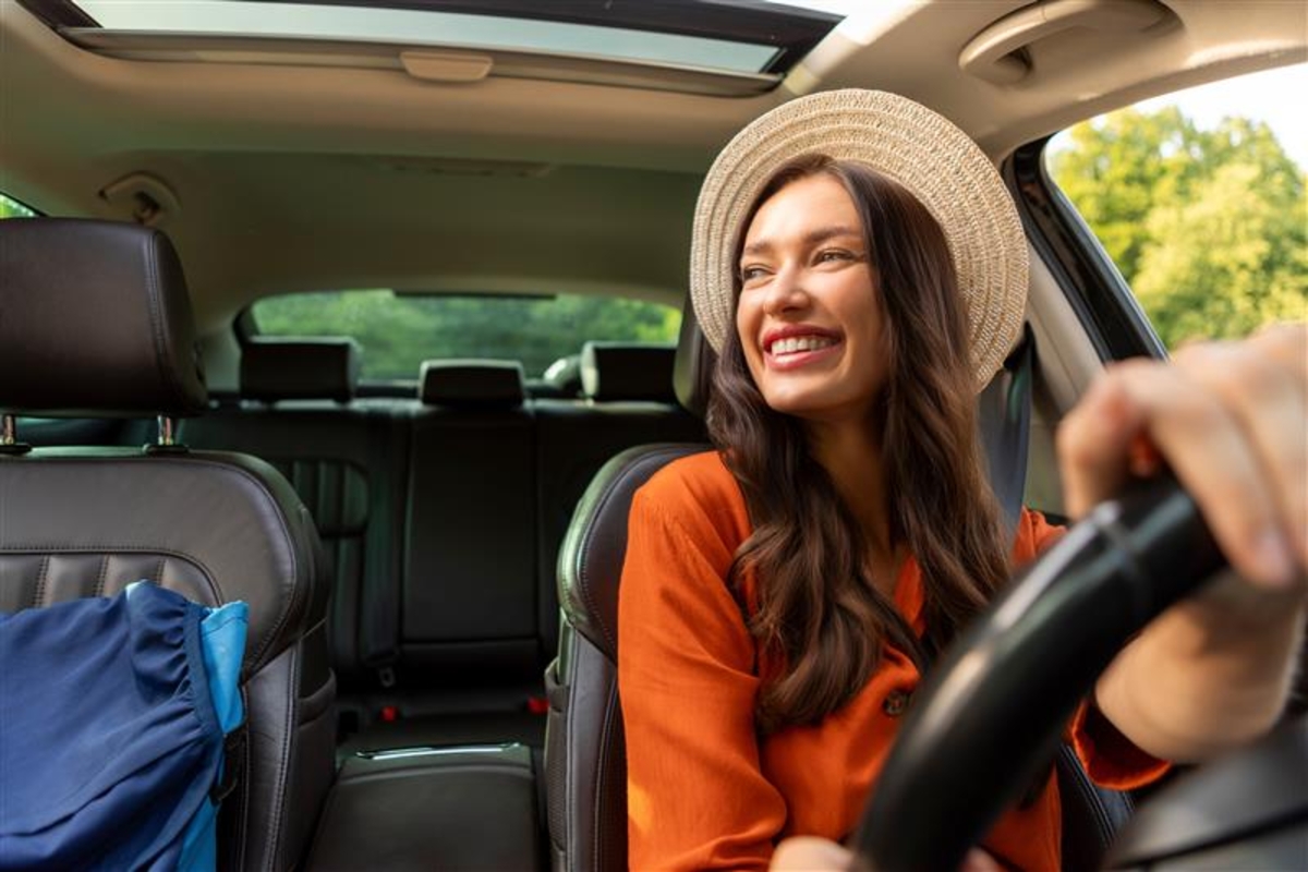 Dino - Divulgador de Noticias