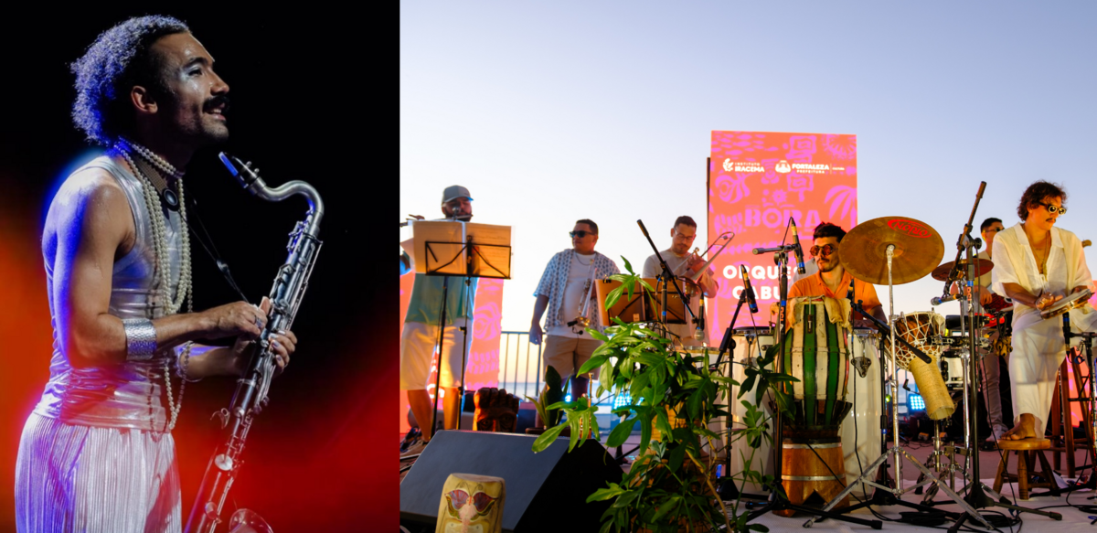 Dino - Divulgador de Noticias