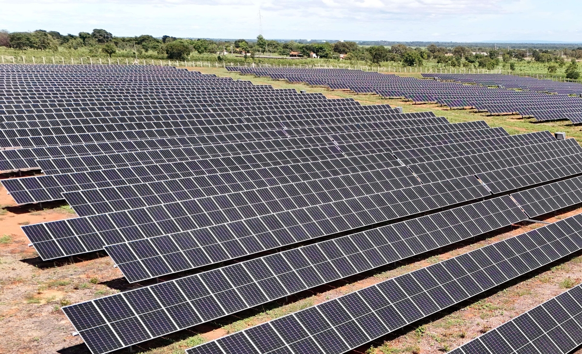 Dino - Divulgador de Noticias