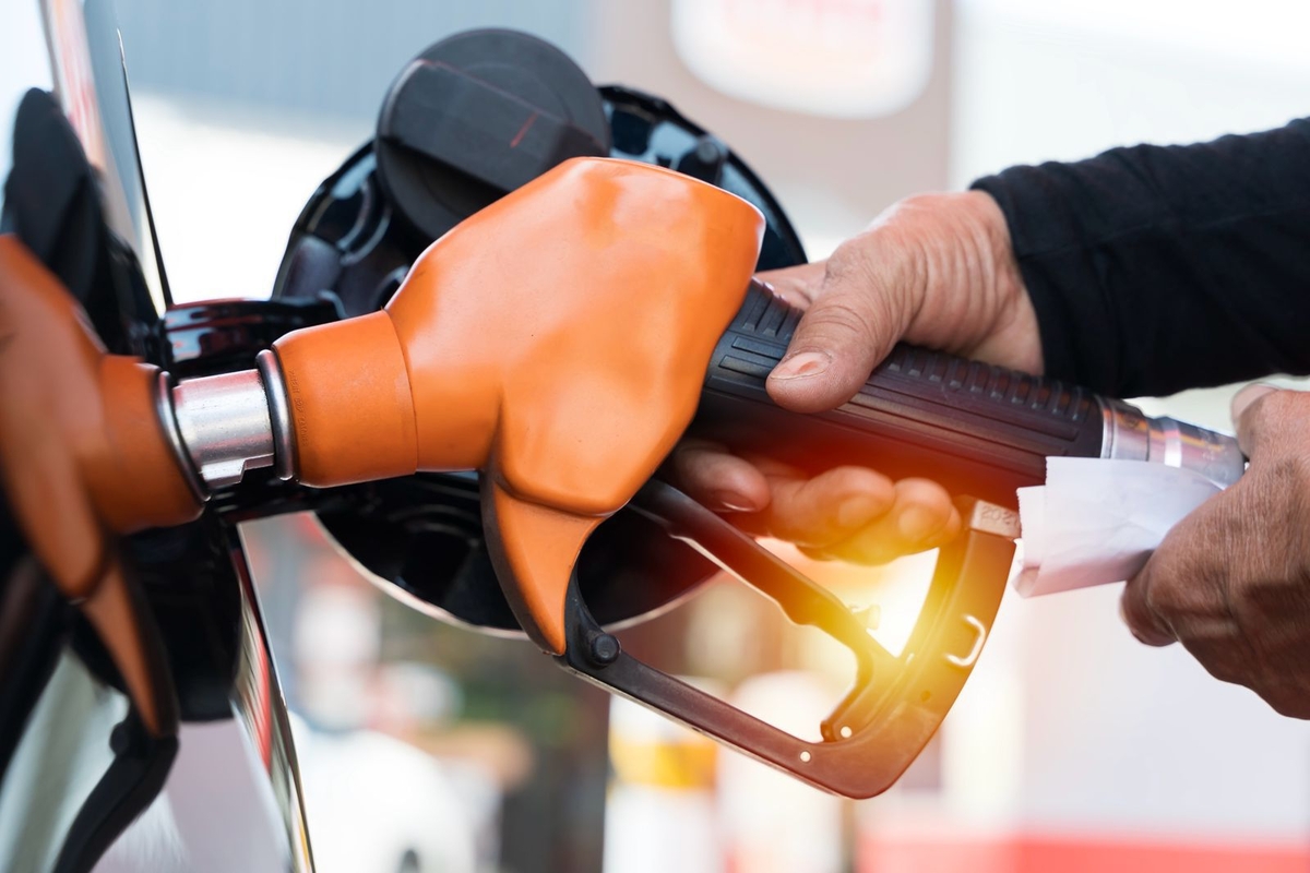 Dino - Divulgador de Noticias