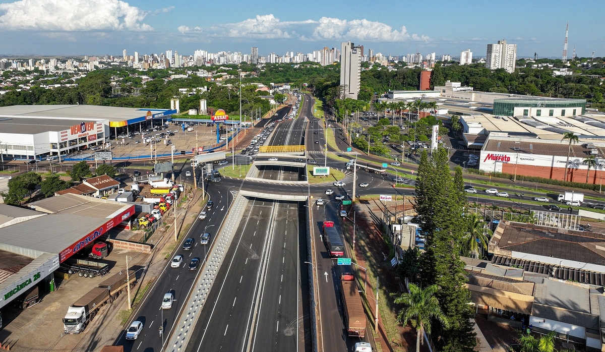 Dino - Divulgador de Noticias