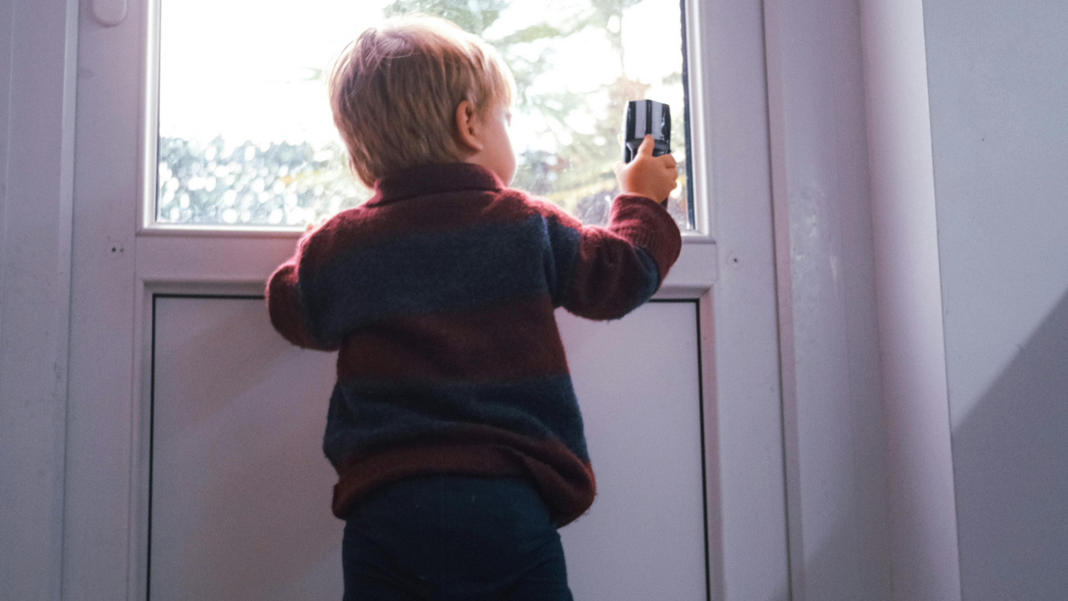 Dino - Divulgador de Noticias