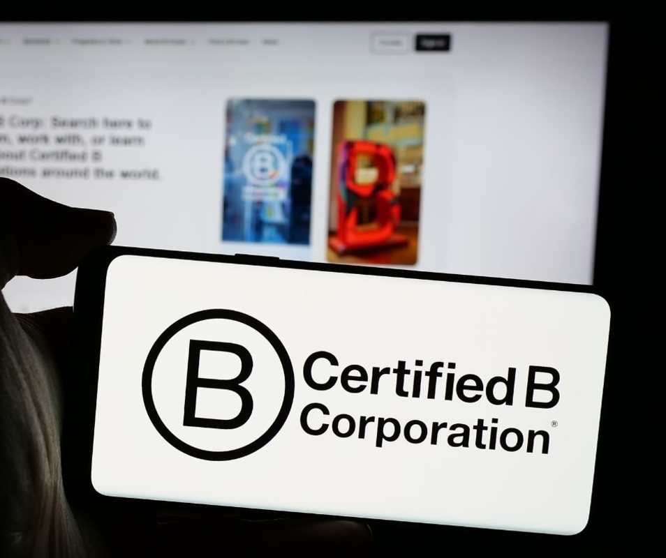 Dino - Divulgador de Noticias