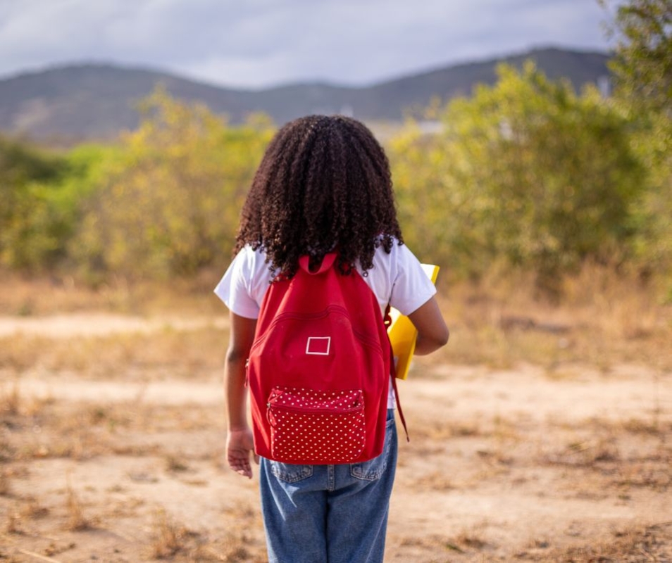 Dino - Divulgador de Noticias