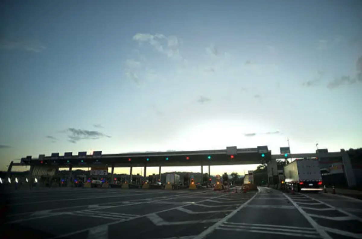 Dino - Divulgador de Noticias