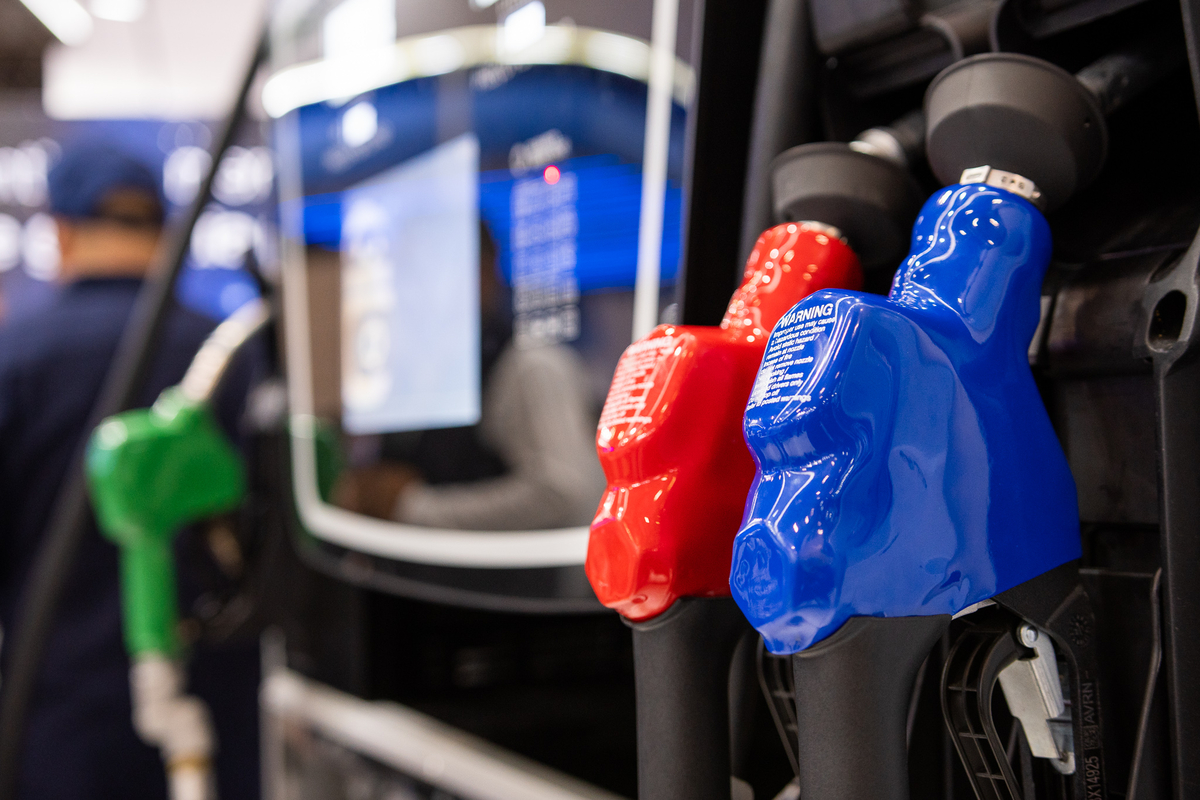 Dino - Divulgador de Noticias