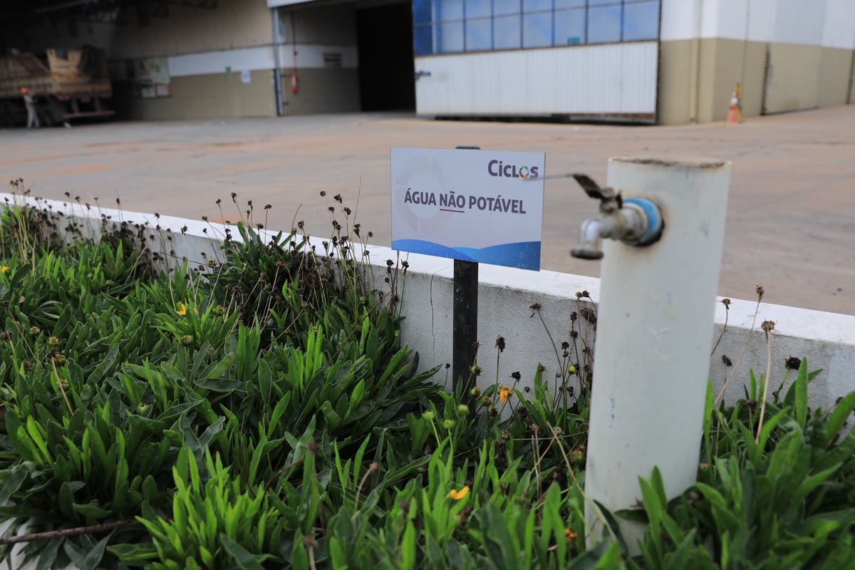 Dino - Divulgador de Noticias