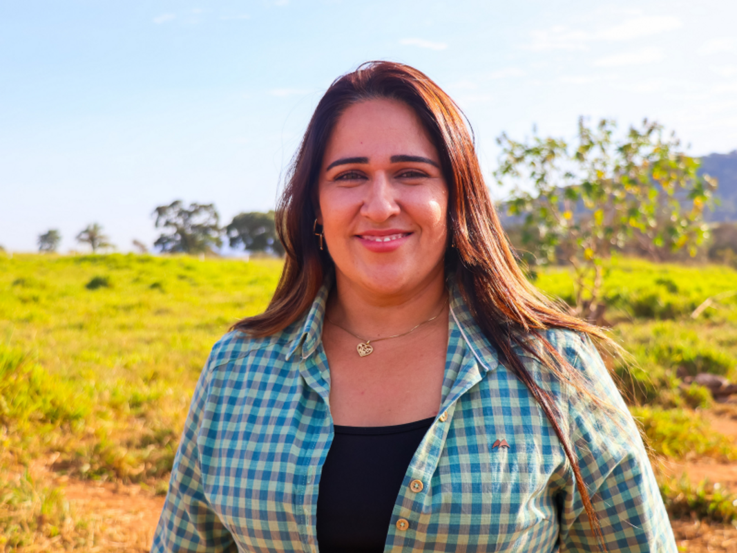 Dino - Divulgador de Noticias