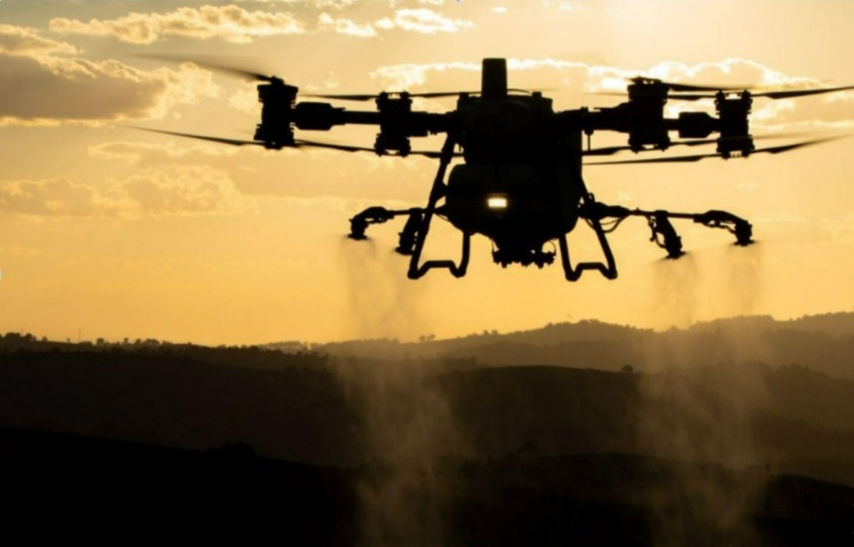 Dino - Divulgador de Noticias