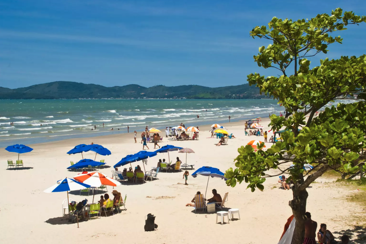 Dino - Divulgador de Noticias