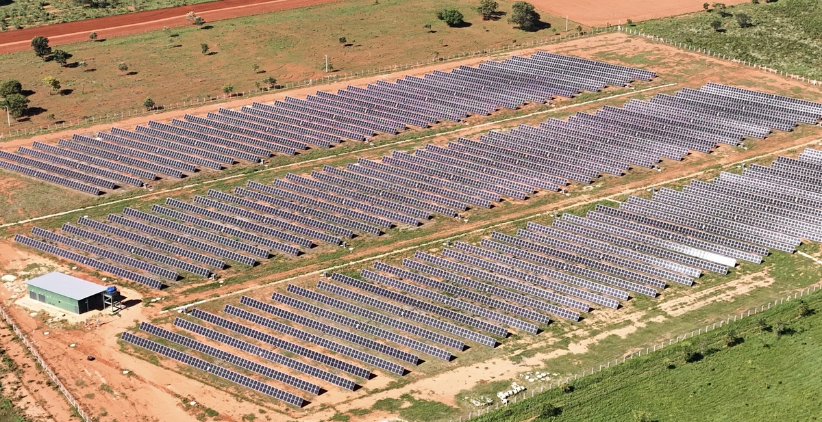 Dino - Divulgador de Noticias