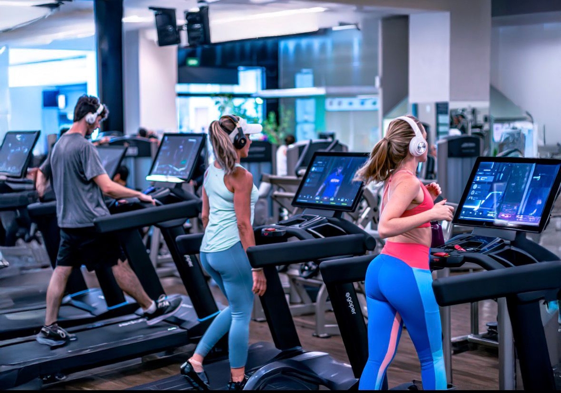 Dino - Divulgador de Noticias