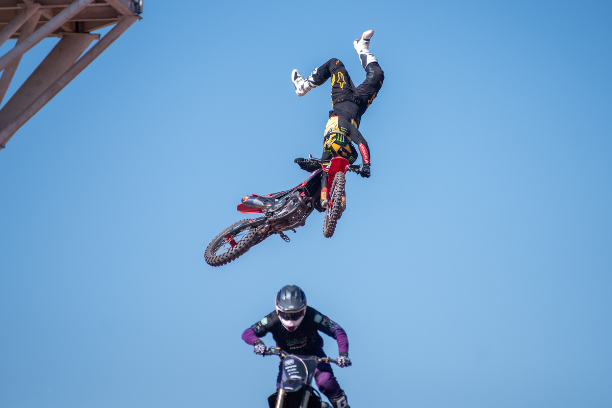 Dino - Divulgador de Noticias