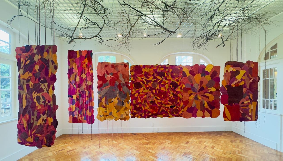 Dino - Divulgador de Noticias