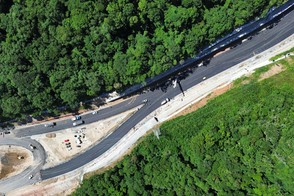 Dino - Divulgador de Noticias