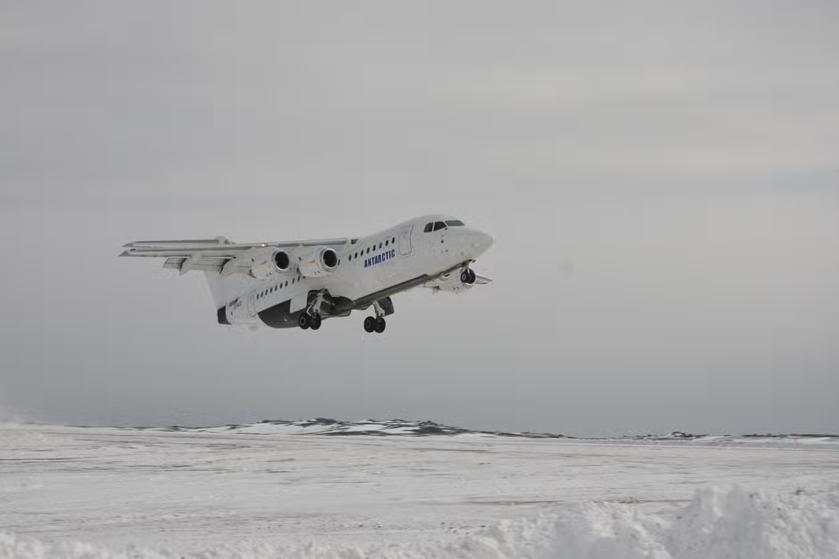 Dino - Divulgador de Noticias