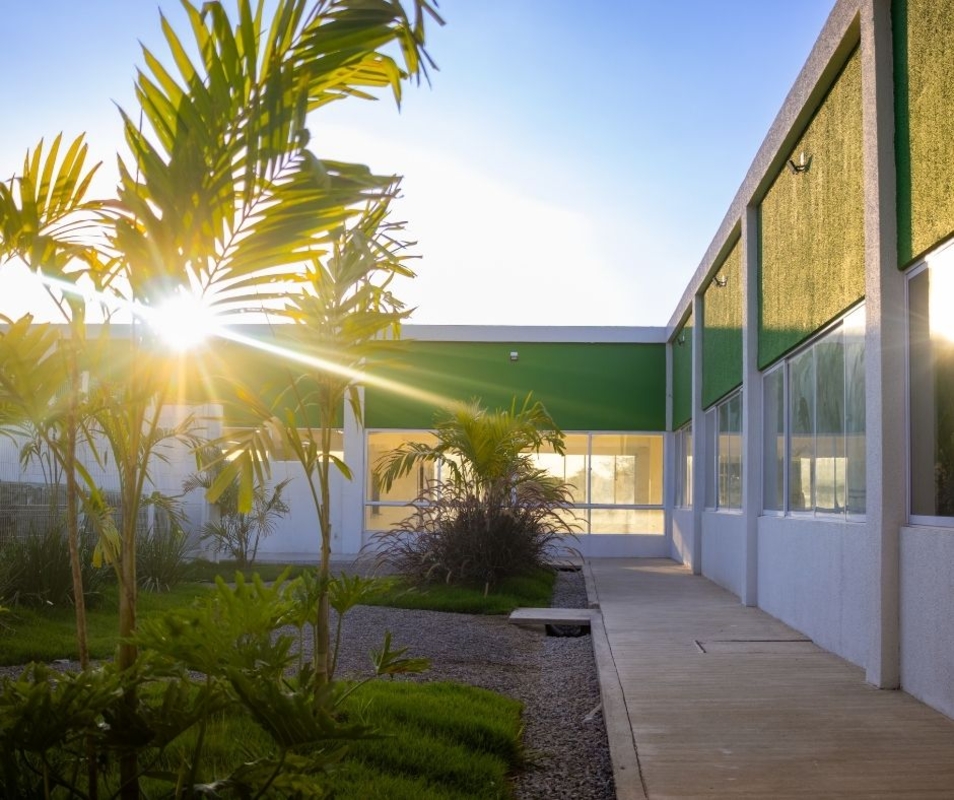 Dino - Divulgador de Noticias