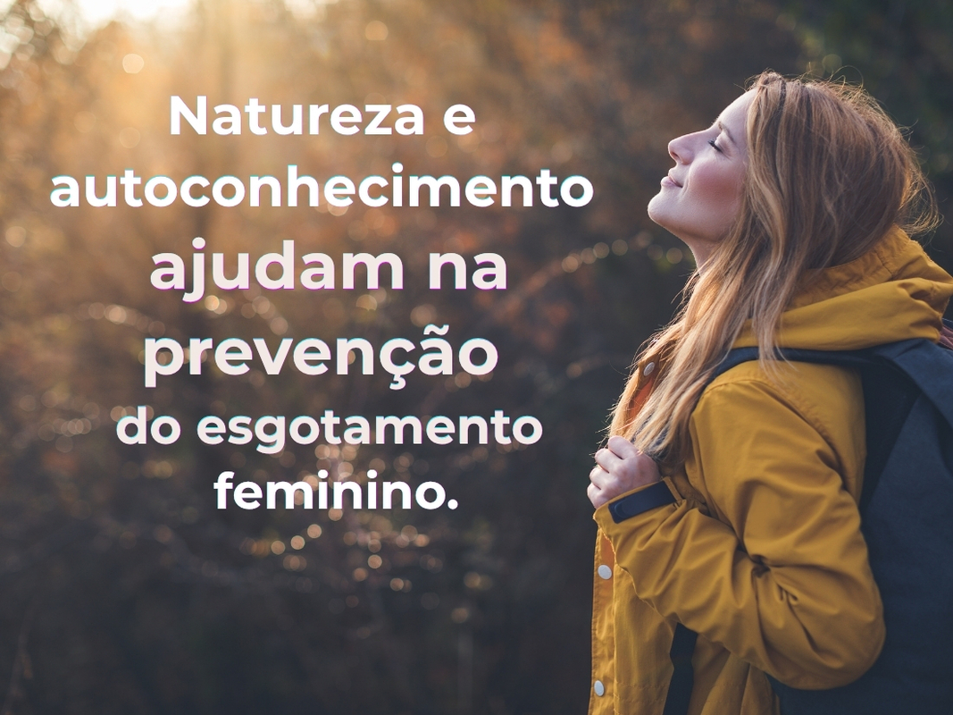 Dino - Divulgador de Noticias