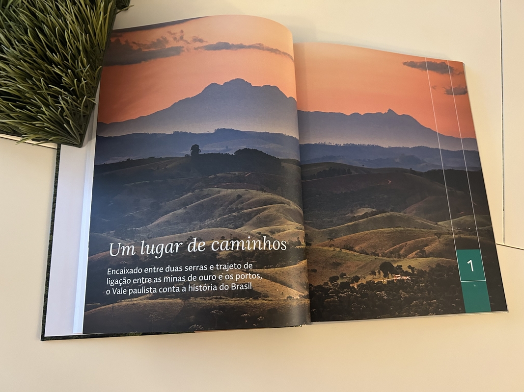 Dino - Divulgador de Noticias