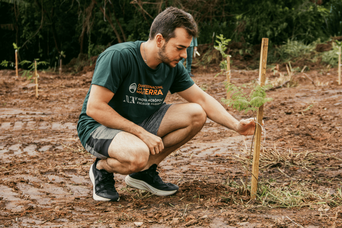 Dino - Divulgador de Noticias