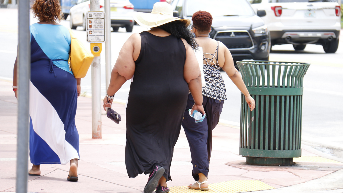 Dino - Divulgador de Noticias