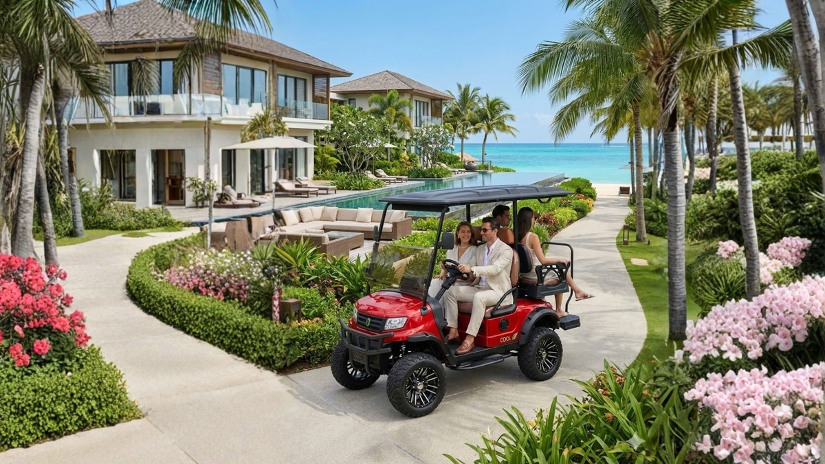 Dino - Divulgador de Noticias