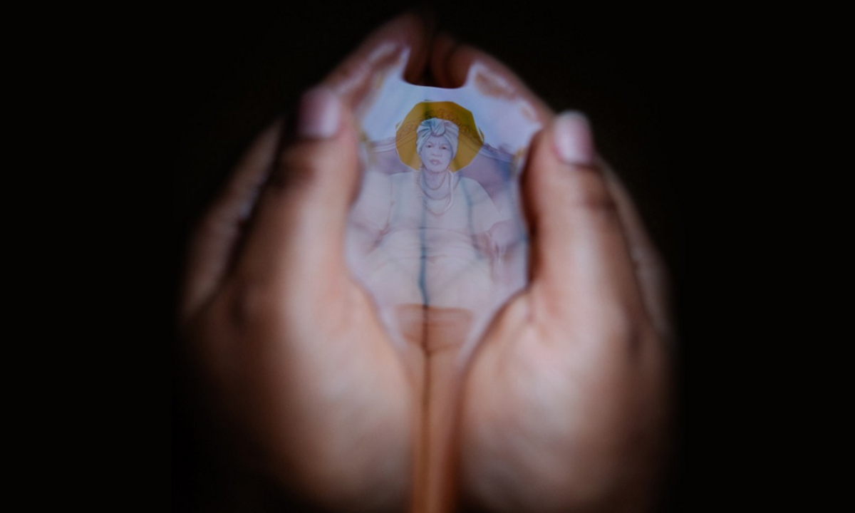 Dino - Divulgador de Noticias