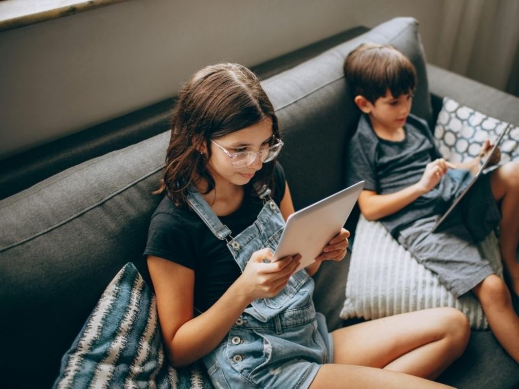 Dino - Divulgador de Noticias