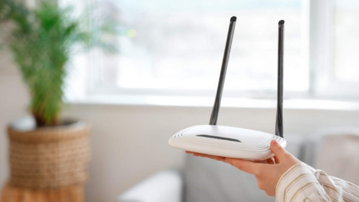 Dino - Divulgador de Noticias