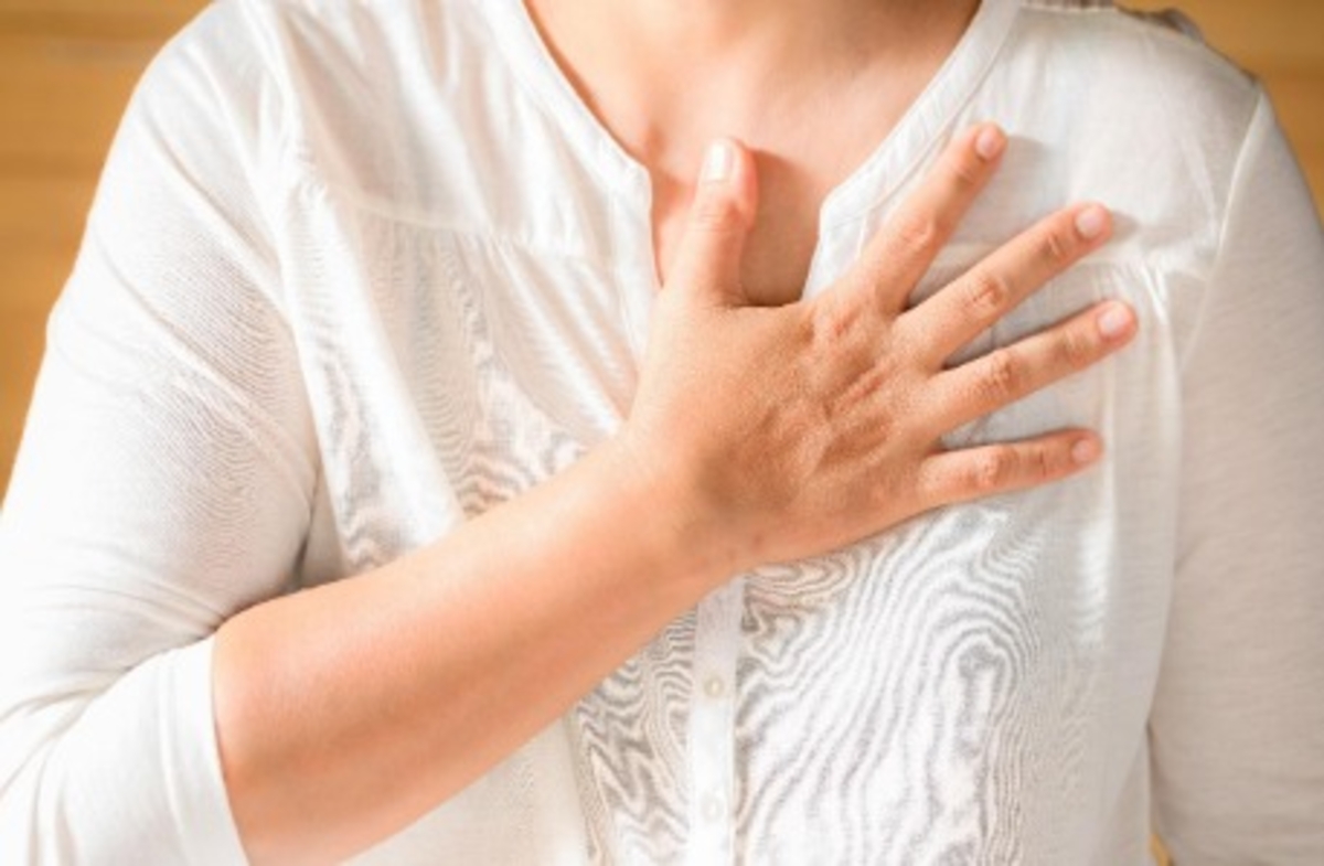 Dino - Divulgador de Noticias