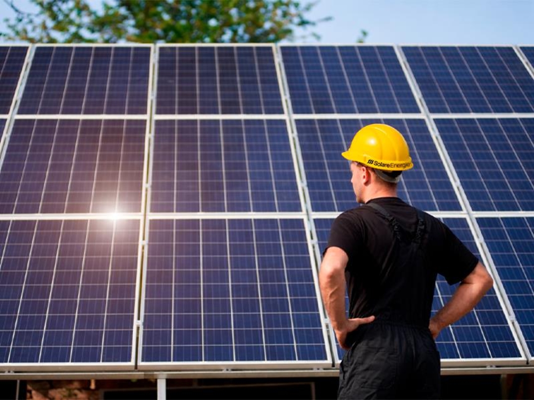 Dino - Divulgador de Noticias