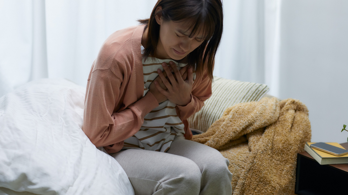 Dino - Divulgador de Noticias