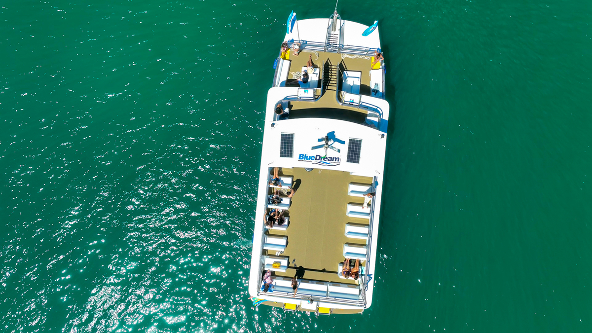 Dino - Divulgador de Noticias