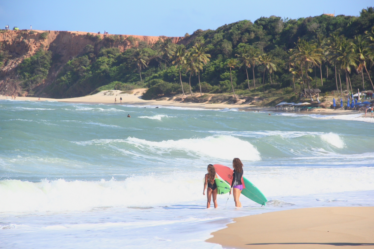 Dino - Divulgador de Noticias