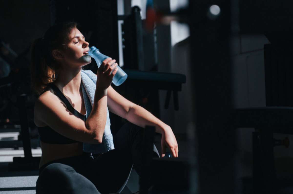 Dino - Divulgador de Noticias