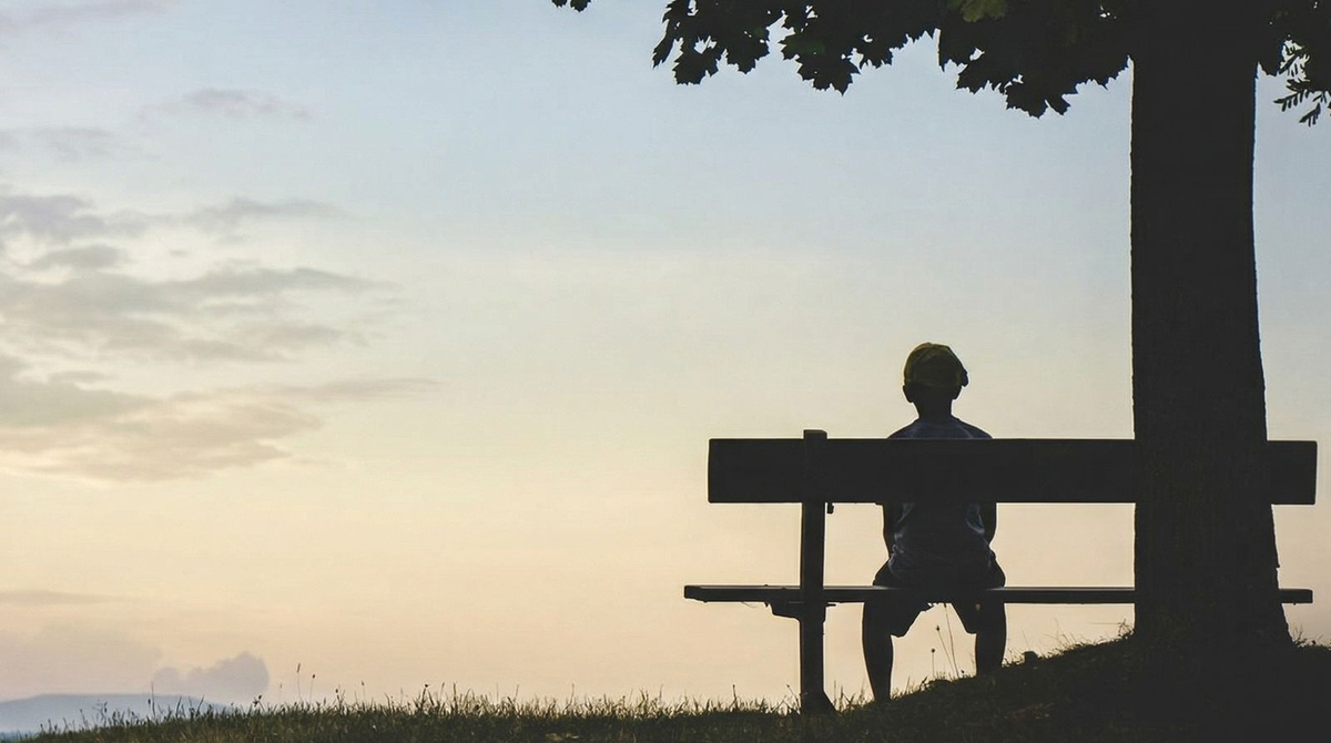 Dino - Divulgador de Noticias