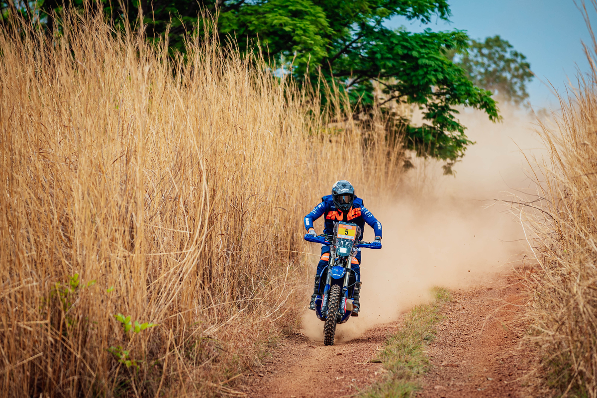 Dino - Divulgador de Noticias