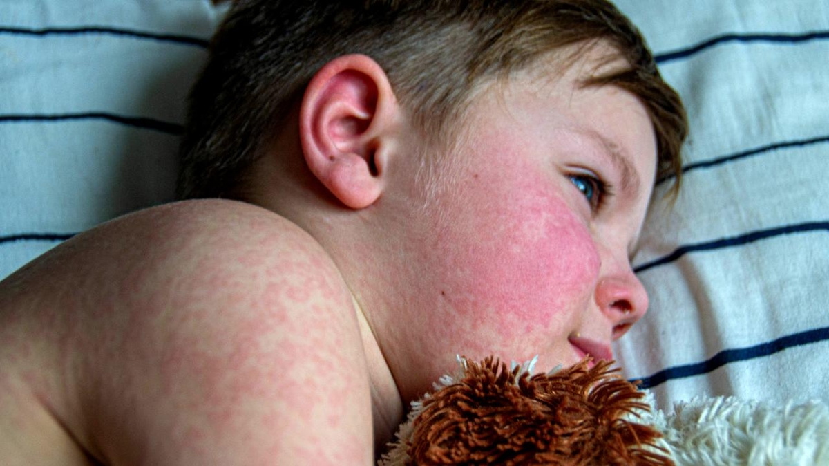 Dino - Divulgador de Noticias