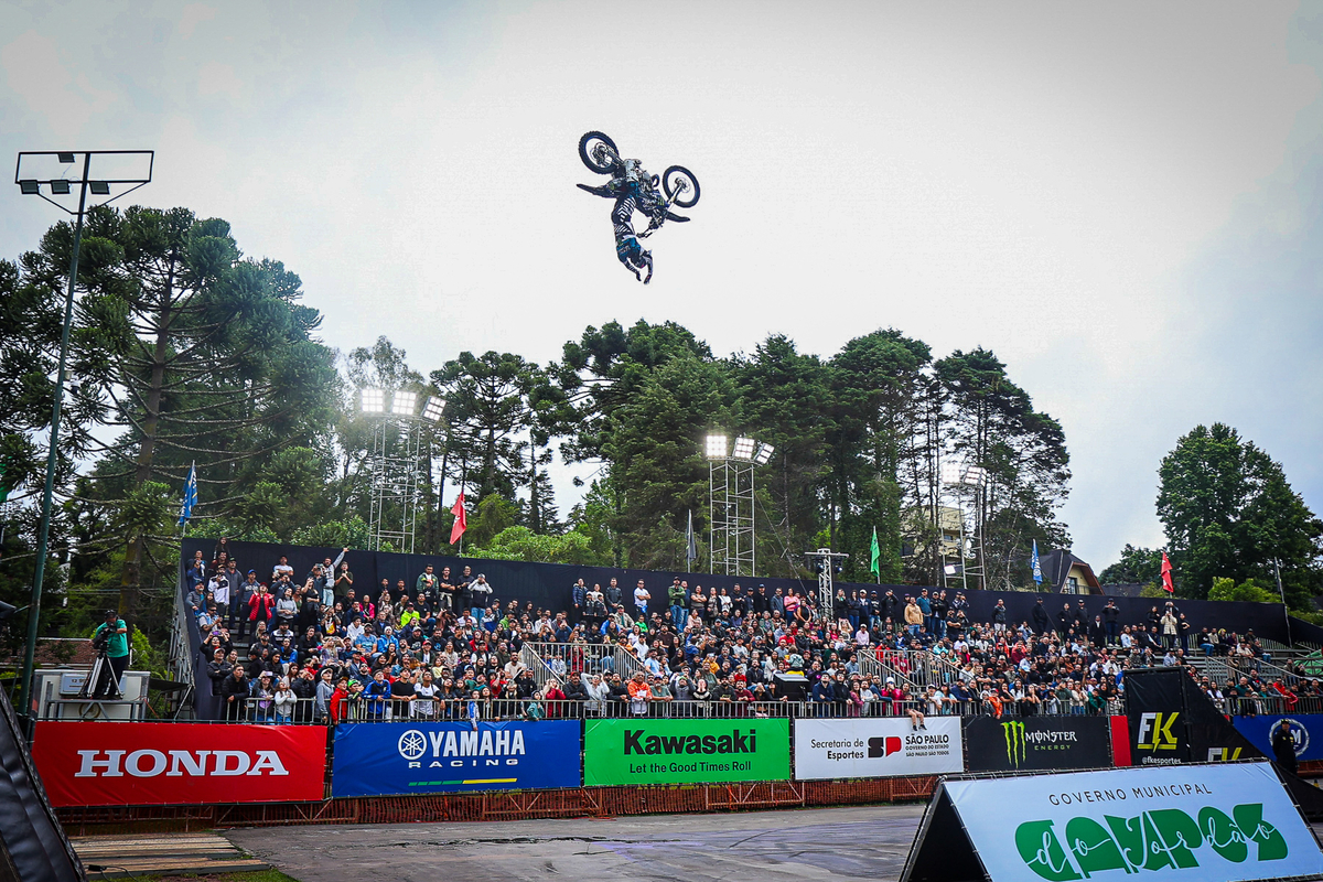 Dino - Divulgador de Noticias