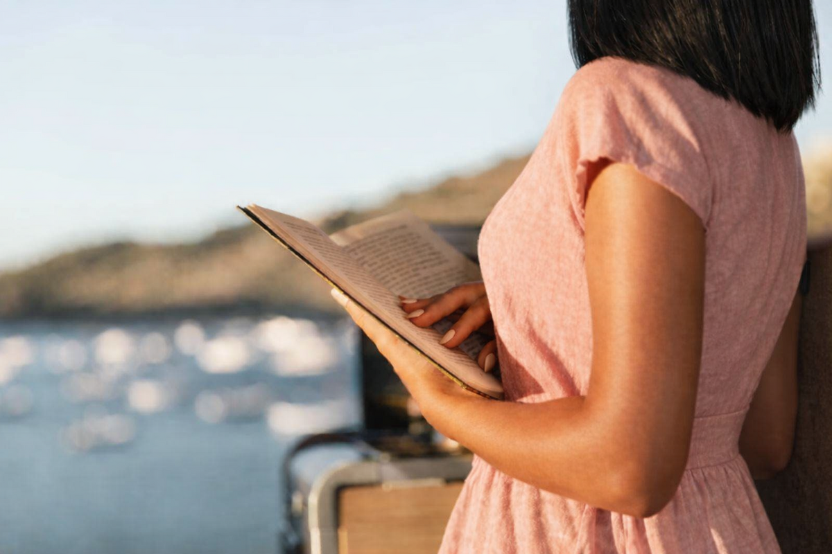 Dino - Divulgador de Noticias