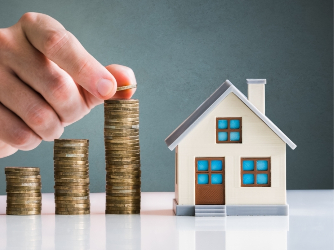 Dino - Divulgador de Noticias