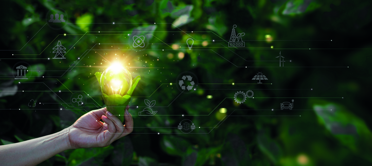 Dino - Divulgador de Noticias