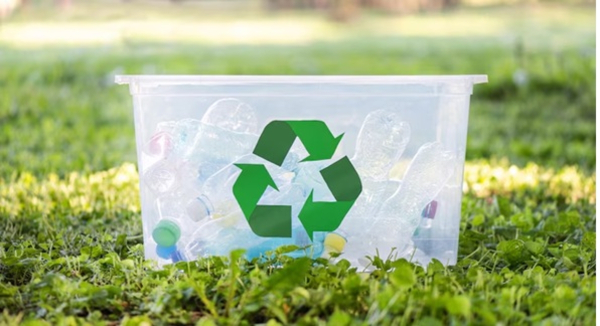 Dino - Divulgador de Noticias